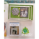 High Gloss Rectangular Trays High Gloss Rectangular Trays