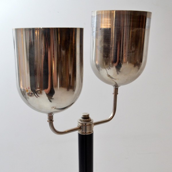Dual Floor Lamp