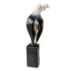 The Ballerina